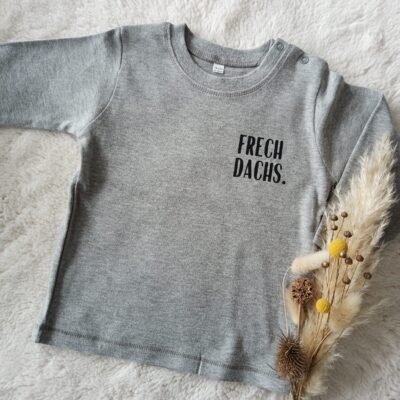 Langarm Shirt Frechdachs