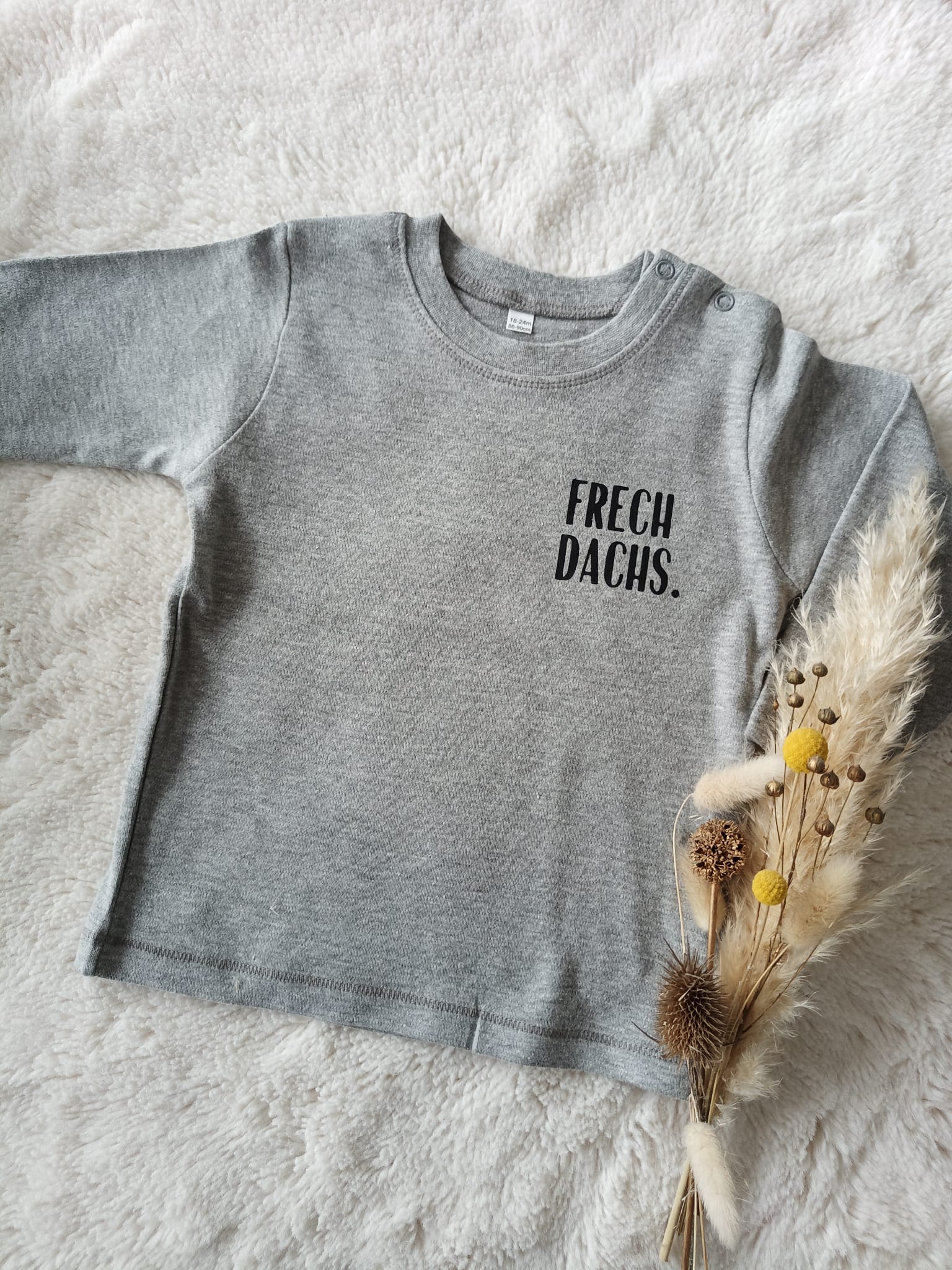 Langarm Shirt Frechdachs